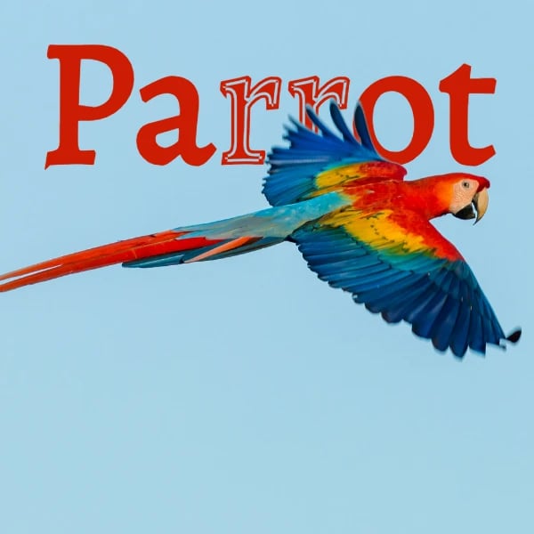 Colorful parrot with text behind image effect - Social media content design